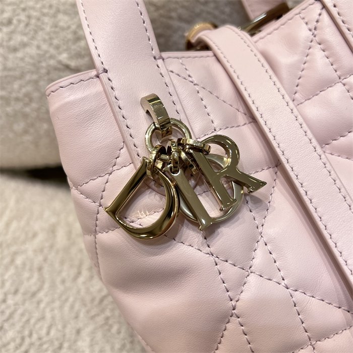 디올 뚜주흐 버티컬 나노 토트백 파우더 핑크 매크로까나쥬