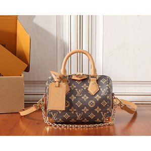 루이비통 스피디 트렁크 20