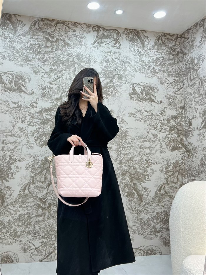 디올 뚜주흐 미디엄 버티컬 토트백 페일 핑크 매크로까나쥬