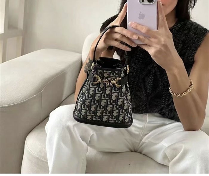 디올 스몰 C’est 쎄 백 오블리크 자카드